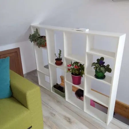 Colorful Grigo Loft كلوج-نابوكا